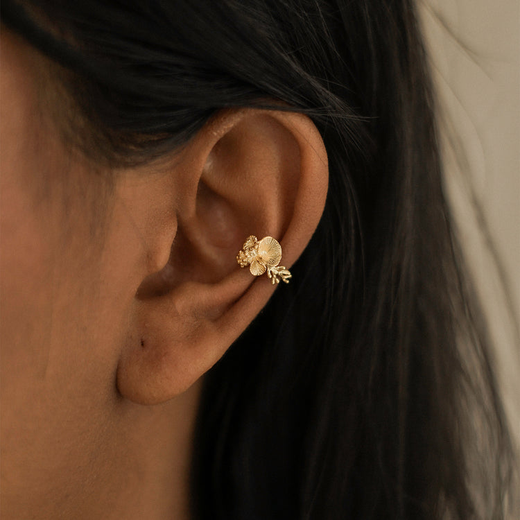 Coral Collection