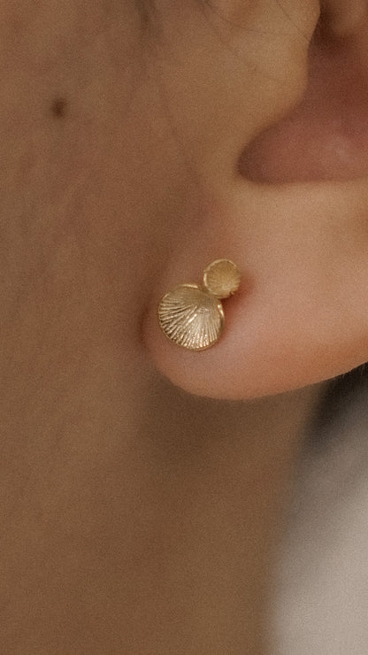 Coral Earstud 1