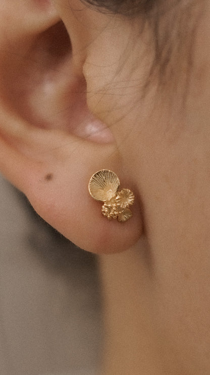 Coral Earstud 1