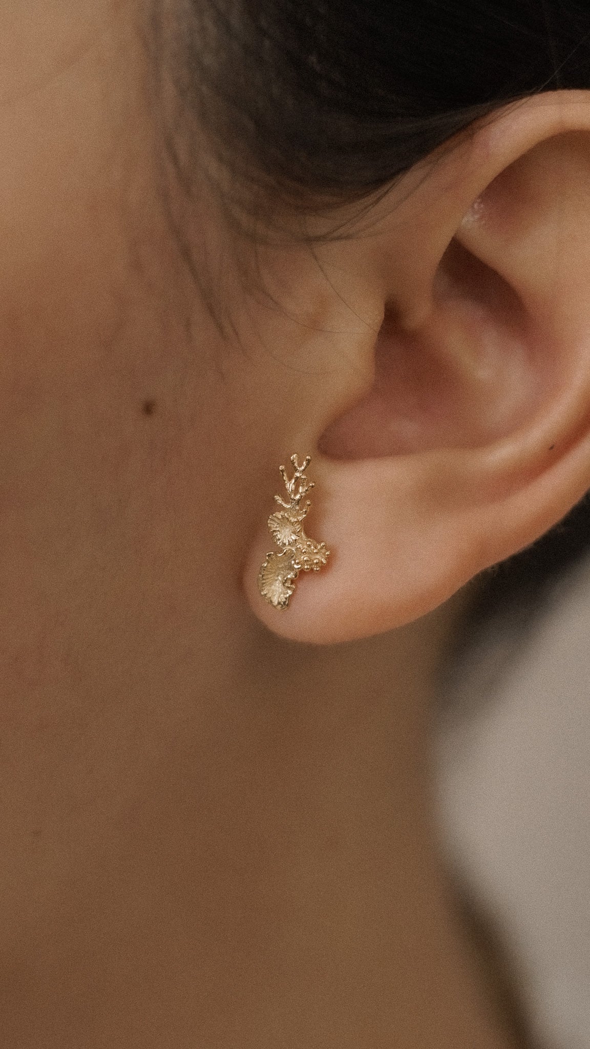 Coral Earstud 2