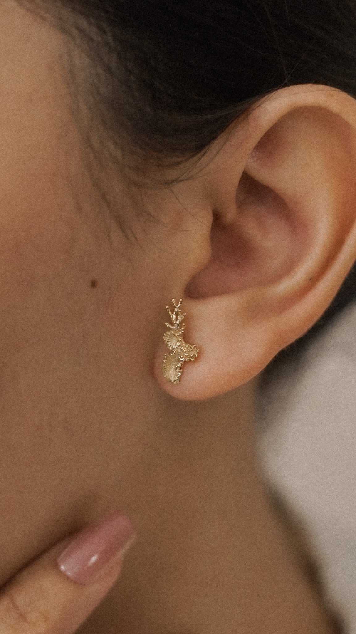 Coral Earstud 2