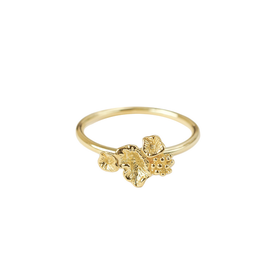 Coral Ring 5
