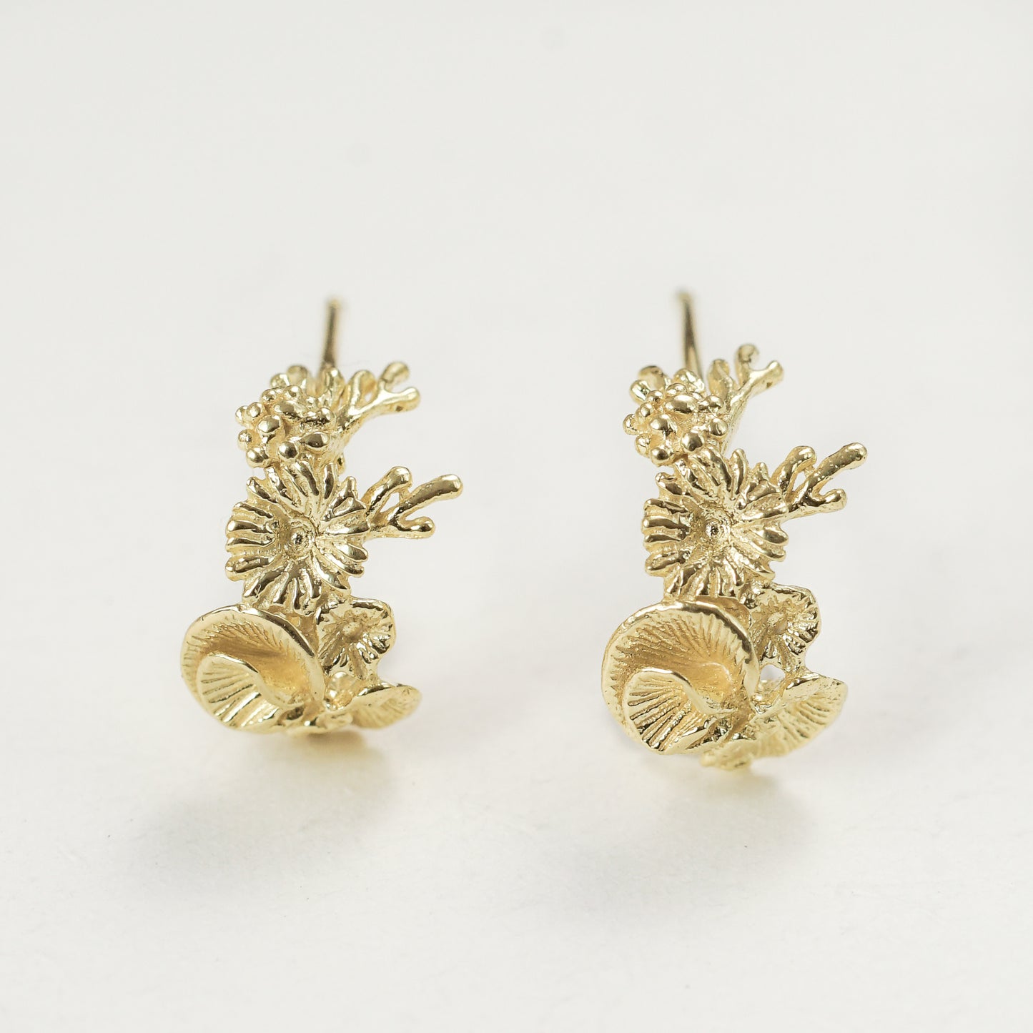 Coral Earrings