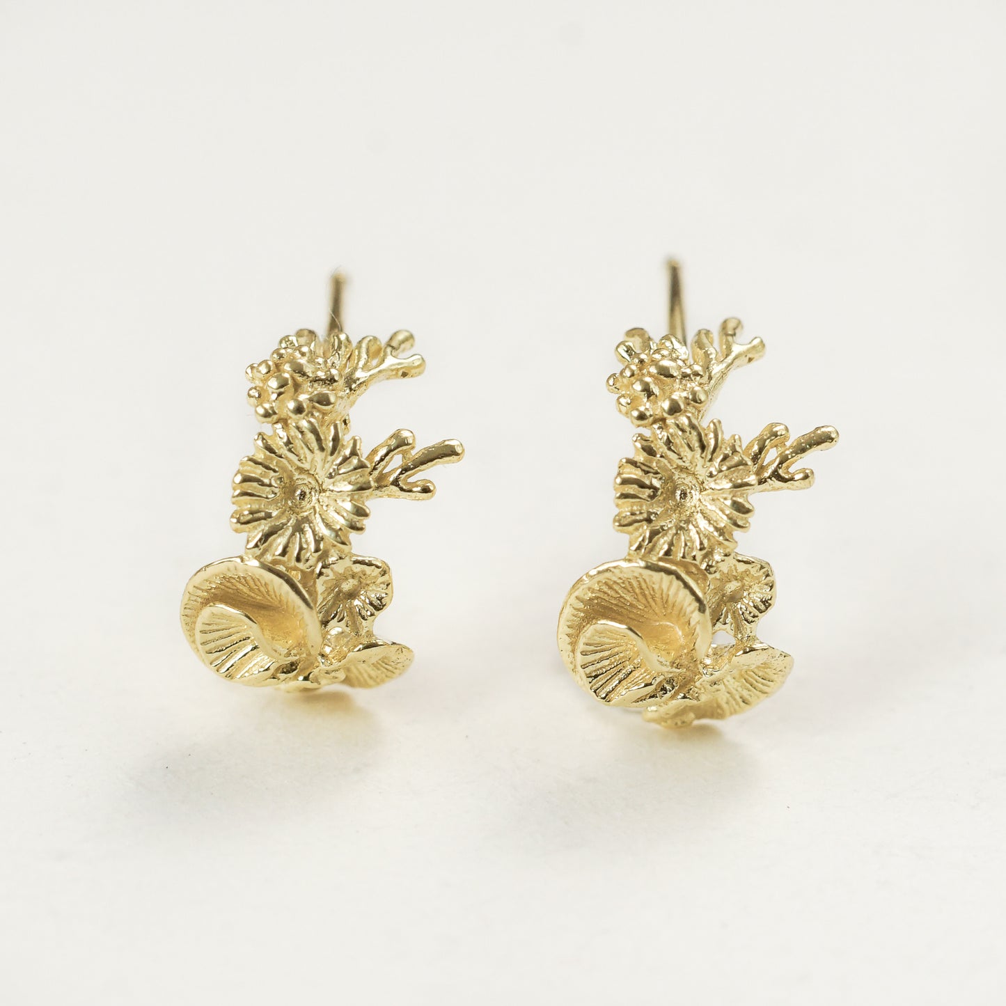 Coral Earrings