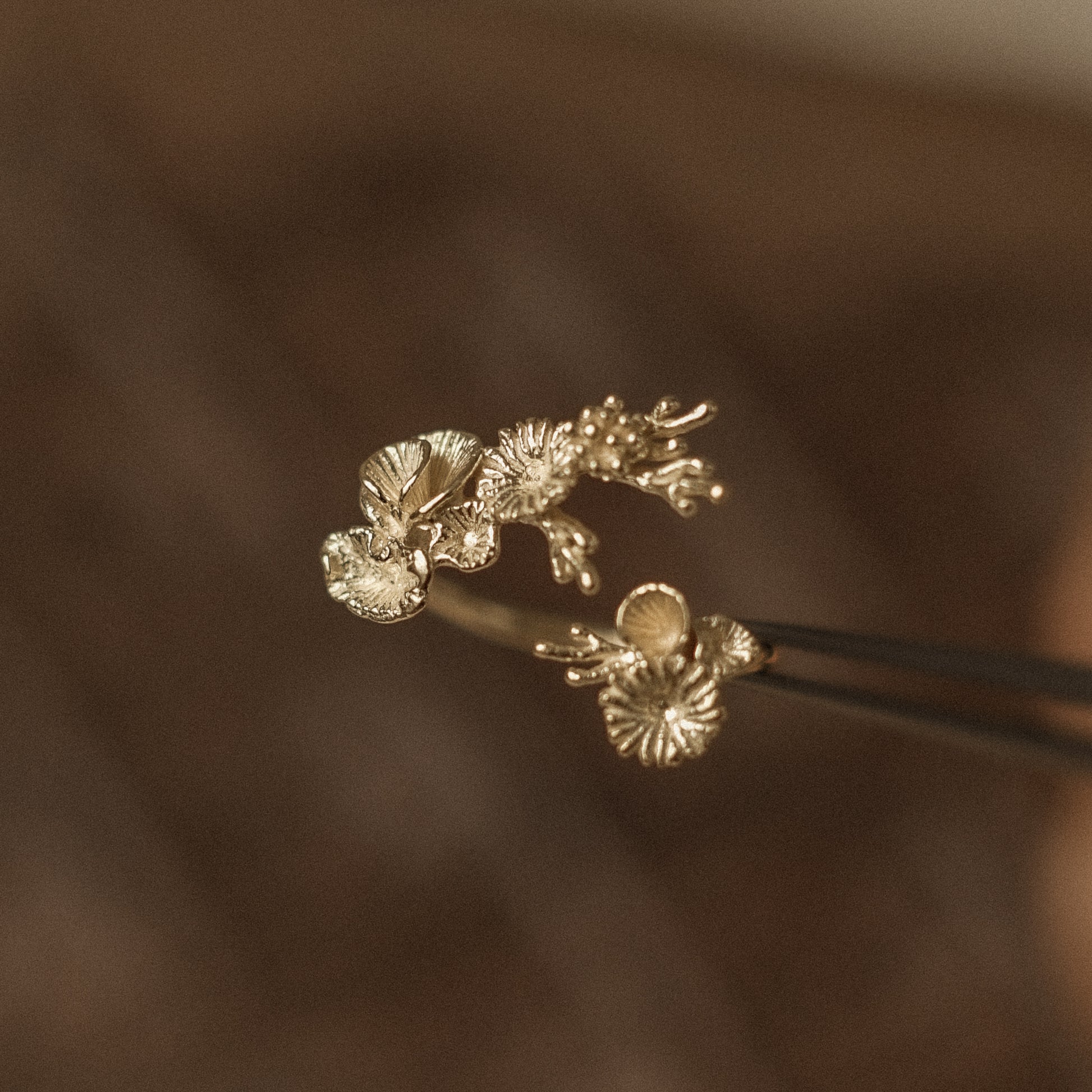 Brooch Titian Jewelry Coral Ring