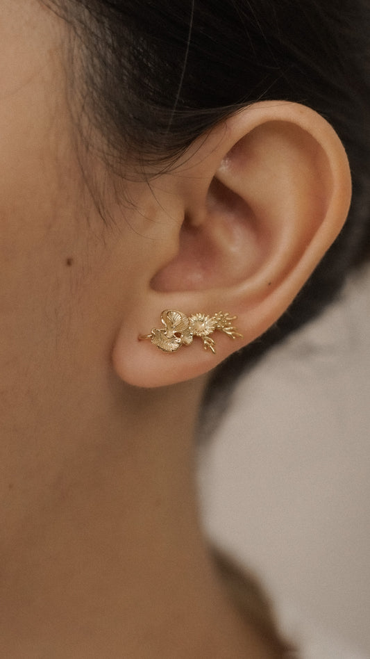 Coral Earclimber