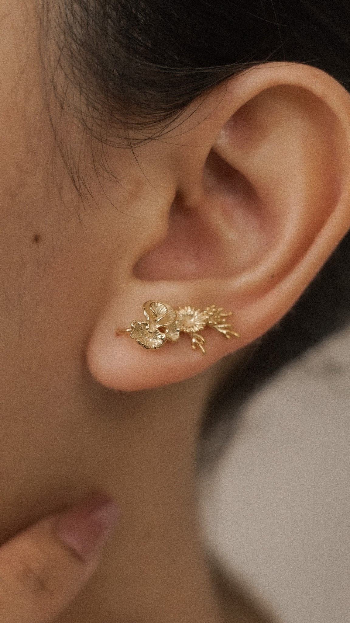 Coral Earclimber