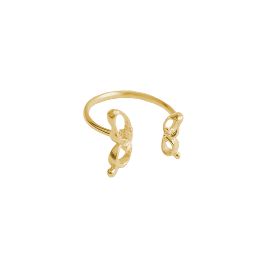 Kupu Ring