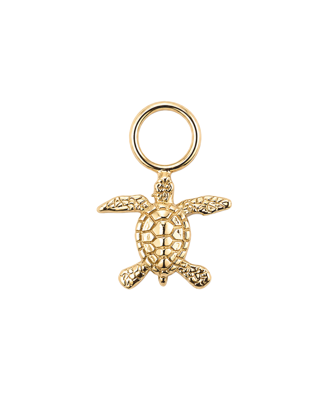 Hawksbill Charm 2