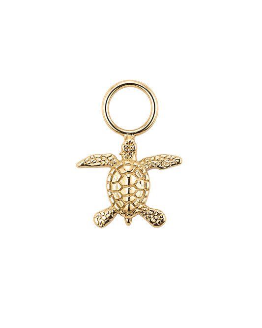 Hawksbill Charm 2